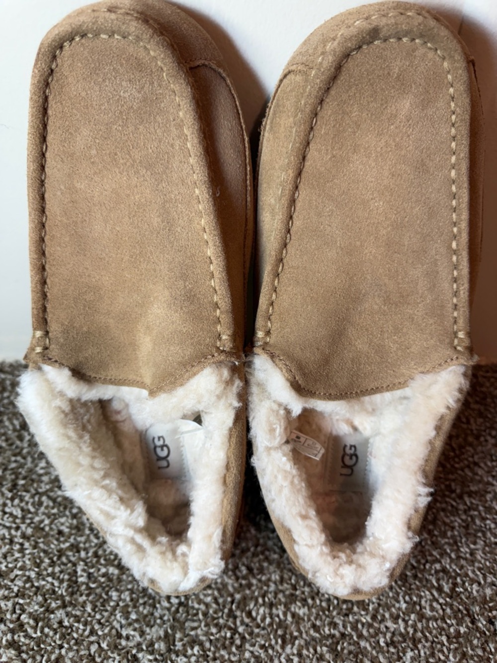 UGG Men's Ascot slippers in chestnut 12